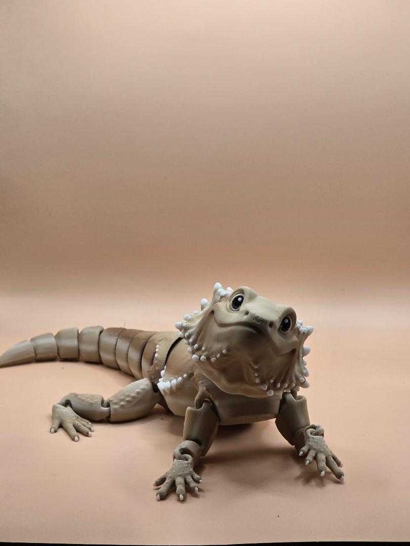 Jumbo Bearded Dragon
