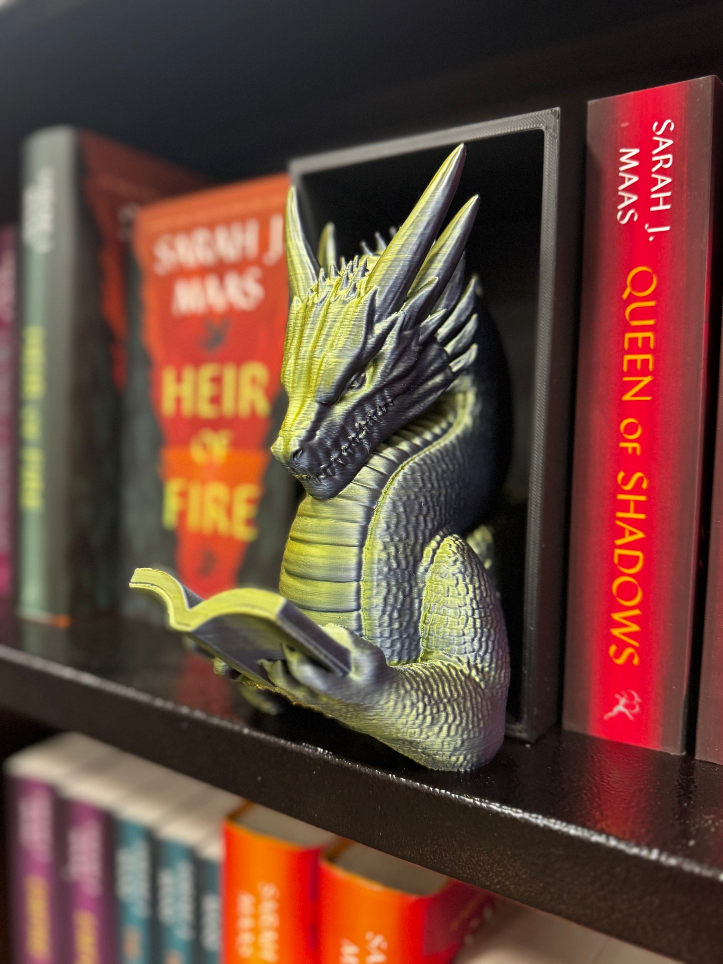 Book Wyrm Dragon Book Nook