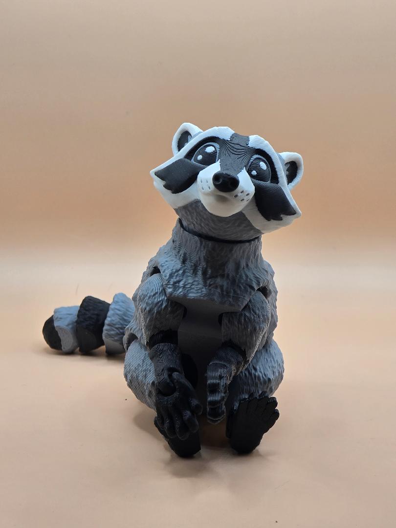 Jumbo Racoon