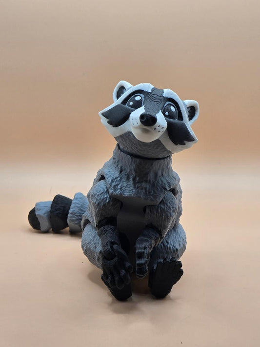 Jumbo Racoon